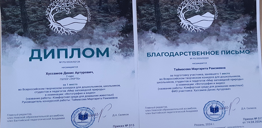 Участие в конкурсе